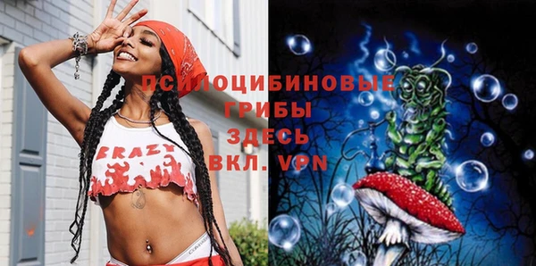 дживик Алексеевка