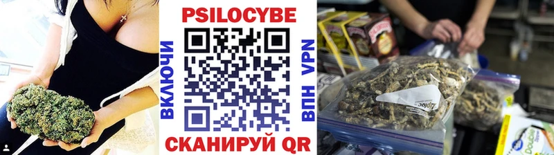 хочу   Грязовец  Галлюциногенные грибы прущие грибы 